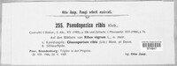 Pseudopeziza ribis image